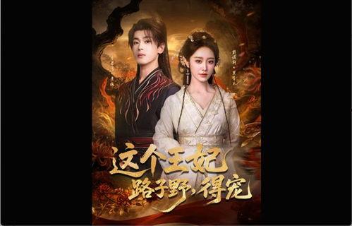 这个王妃路子野，得宠,宫廷宠爱传奇