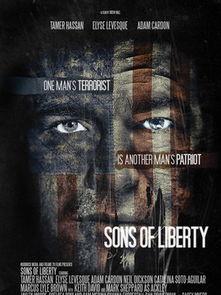 自由之子,探寻美国独立精神的起源与传承