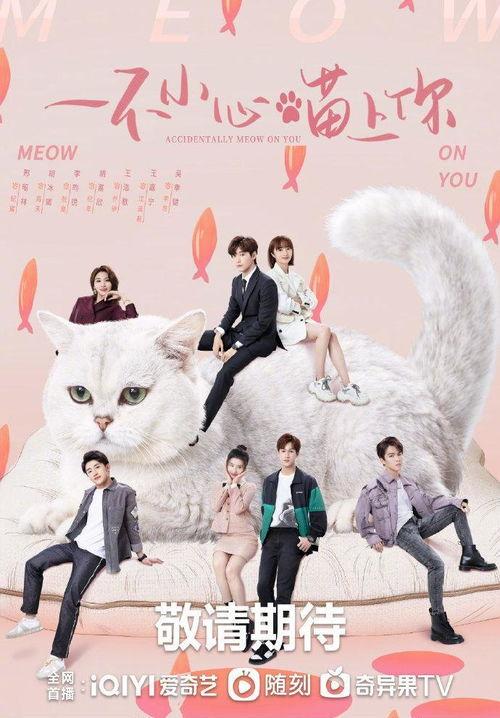 一不小心喵上你,一不小心坠入爱河