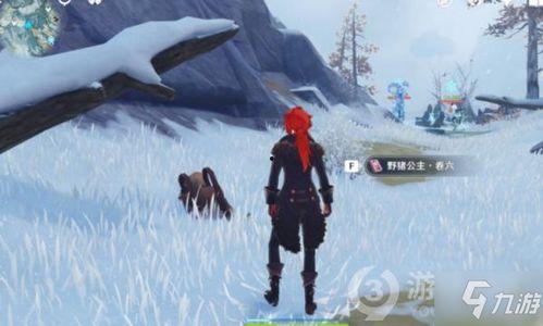 狐玉迷踪,探寻神秘狐玉的传奇故事